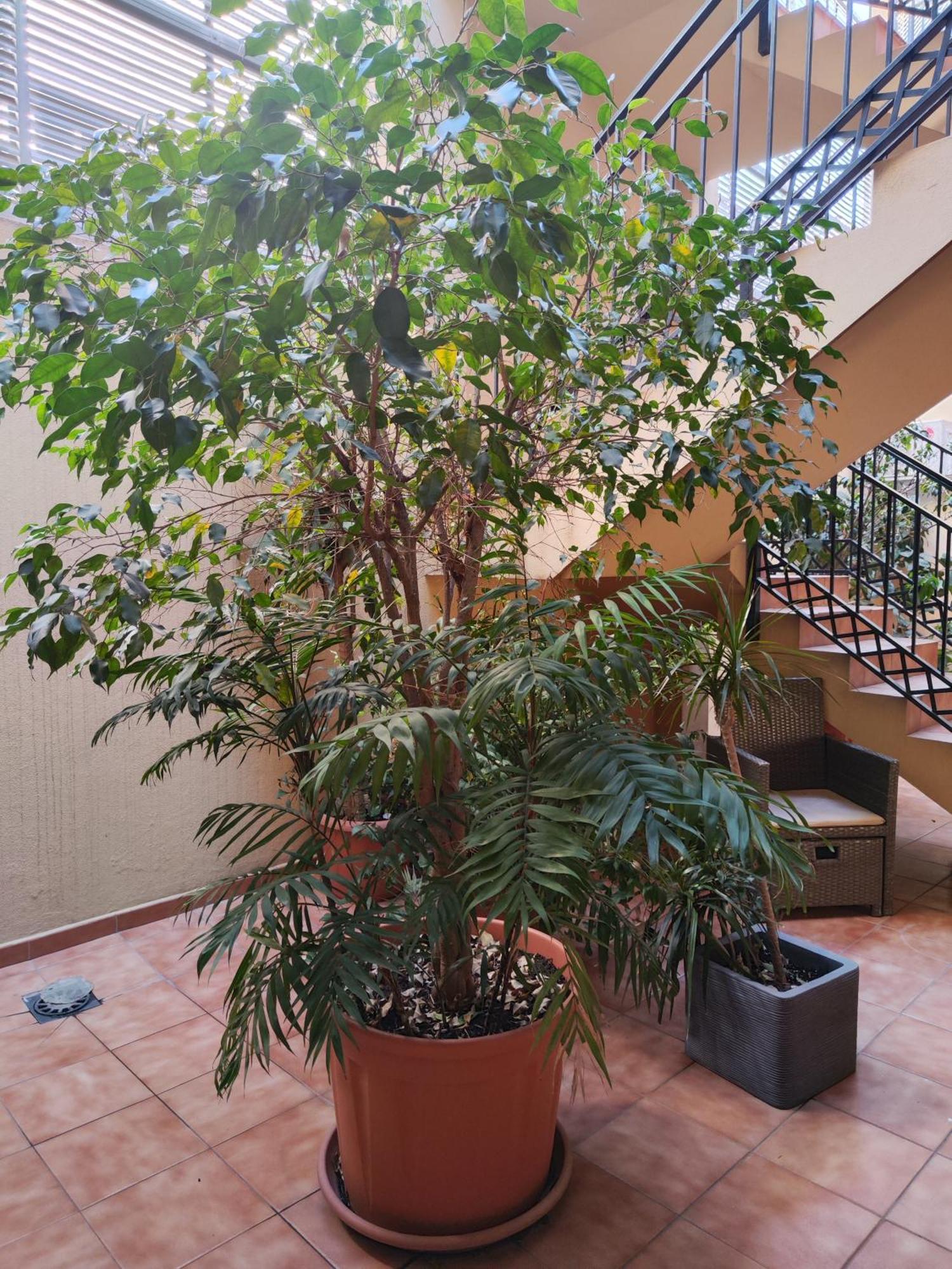 Malaga Experience Apartment Екстериор снимка