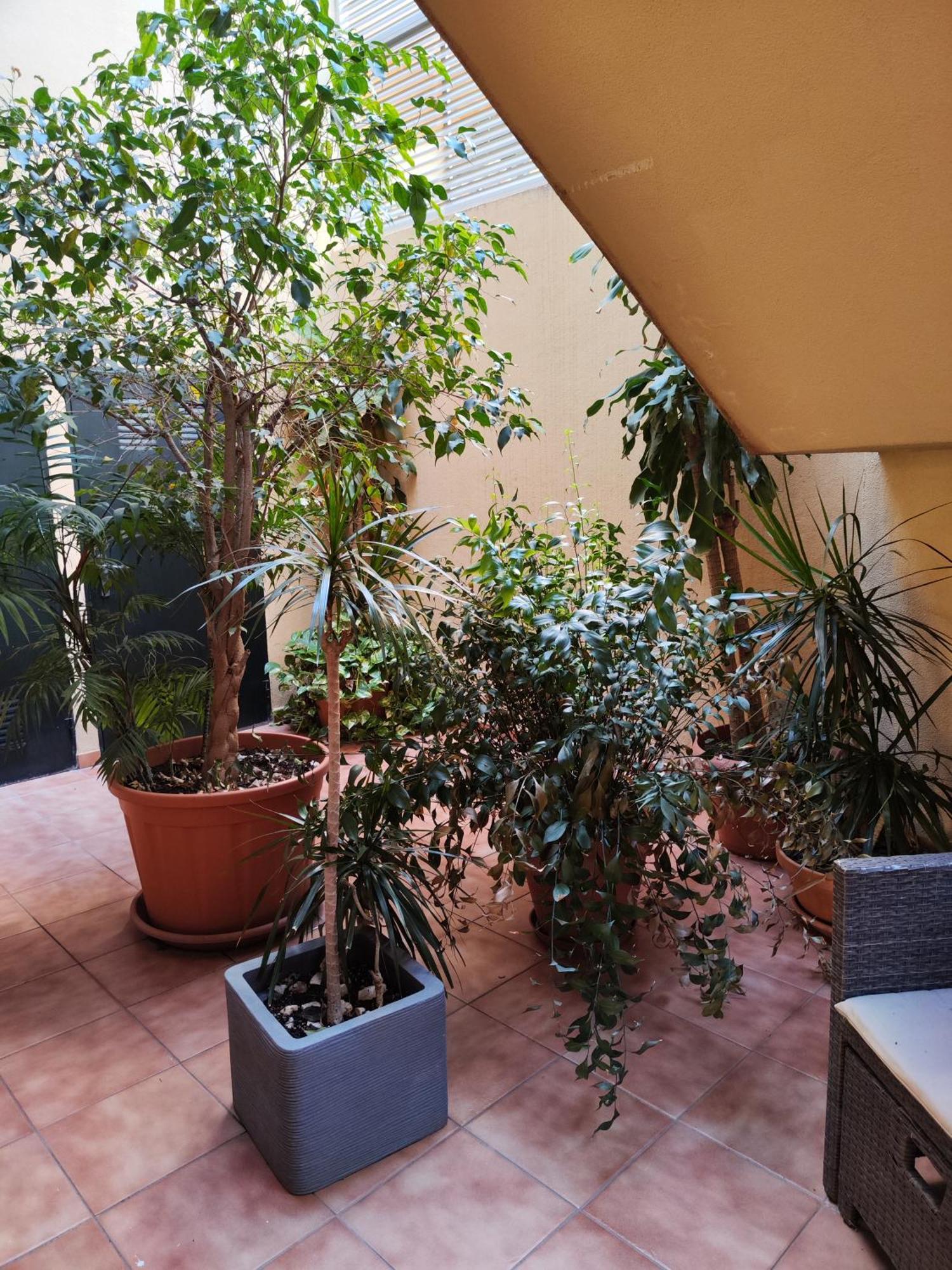 Malaga Experience Apartment Екстериор снимка
