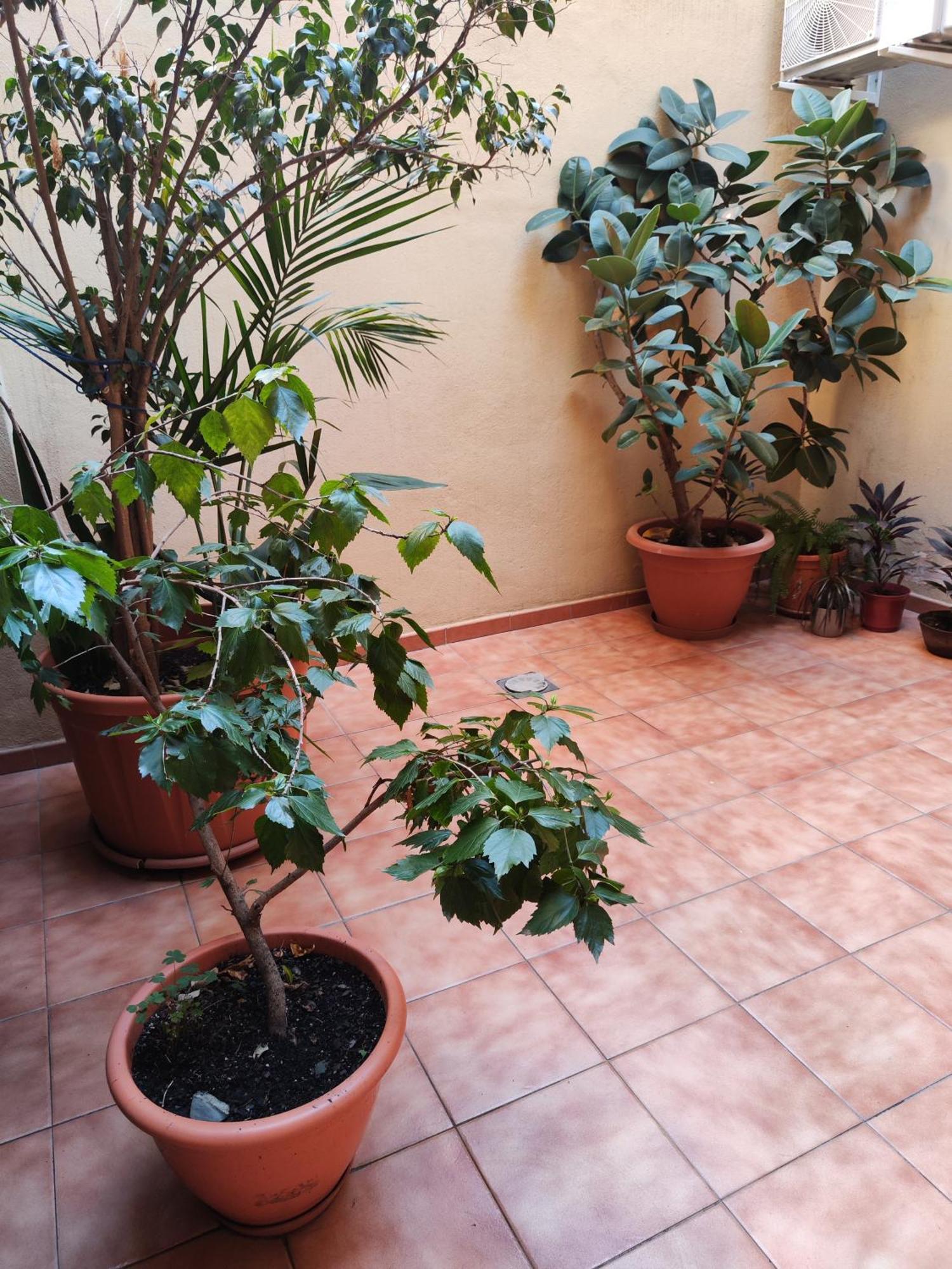 Malaga Experience Apartment Екстериор снимка